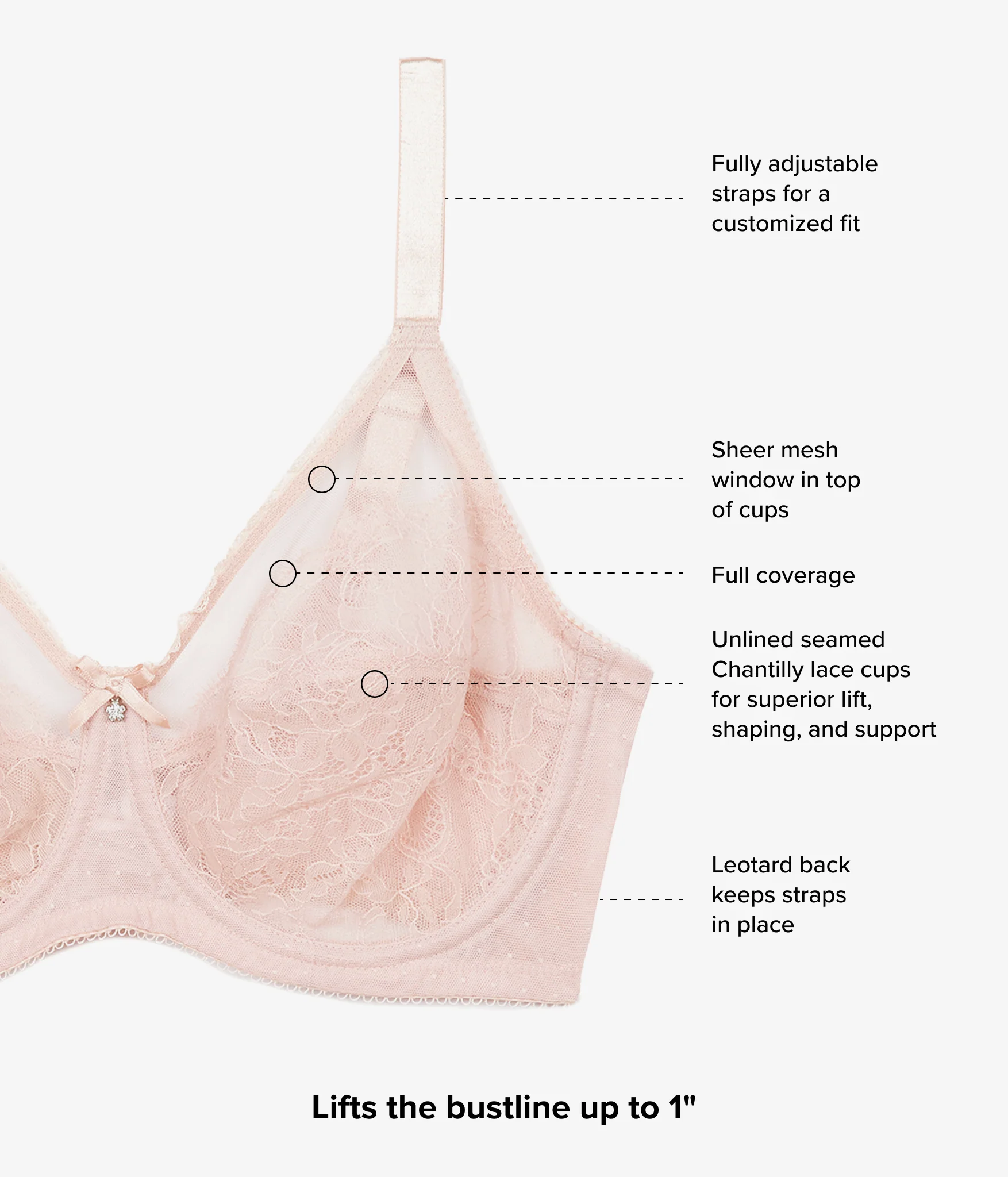 Retro Chic Full Figure Underwire Bra: Rose Dust - Image 4